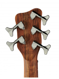 Teambuilt Pro Series Corvette Ash, 5-String, A/A, (Burgundy Red Transparent Satin), зображення 4